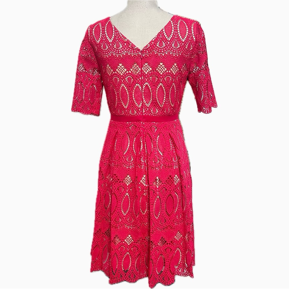 ANTONIO MELANI Floating Garden Hot Pink Lace Fit-and-Flare Mid-length Dress Sz4